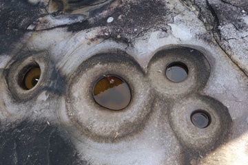 DSC09321a.jpg